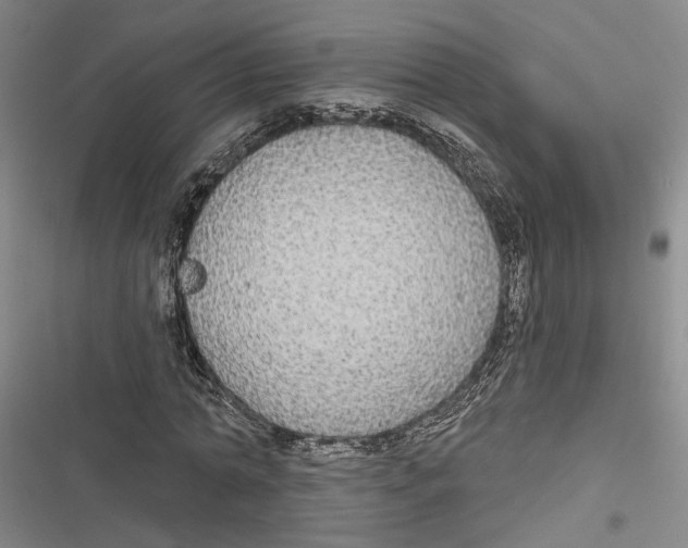 X0000116850774201001121219