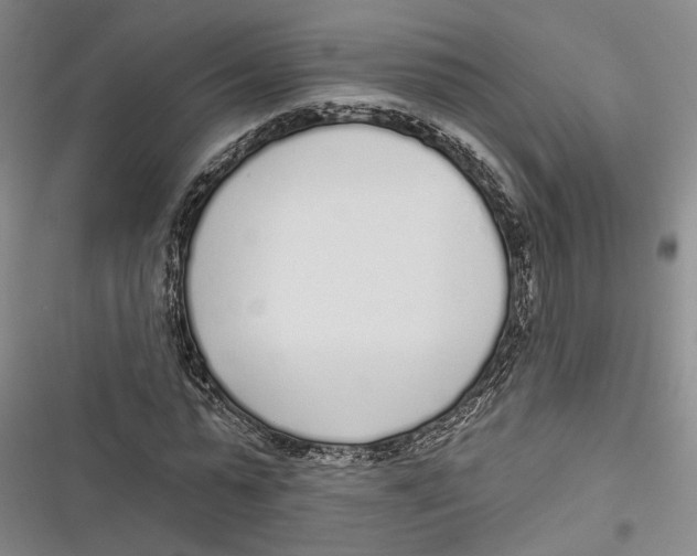 X0000116850775201001121219