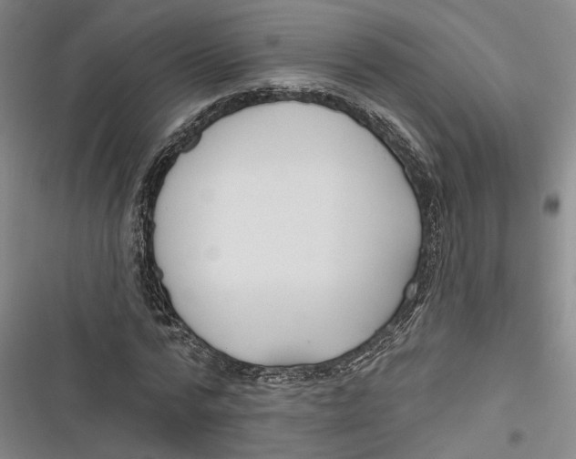 X0000116850776201001121219