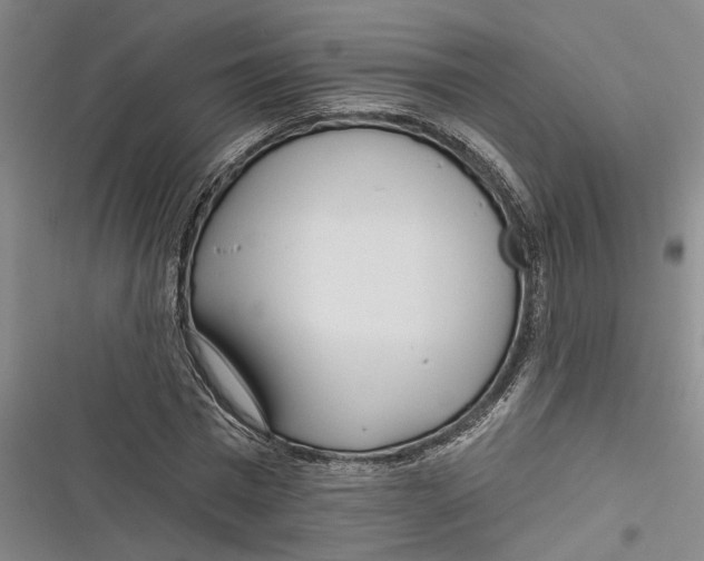 X0000116850777201001121219