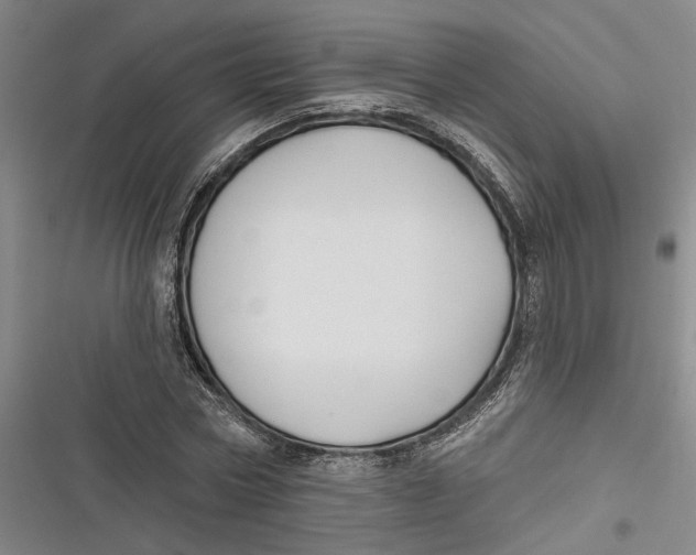 X0000116850778201001121219