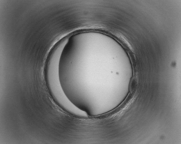 X0000116850781201001121219