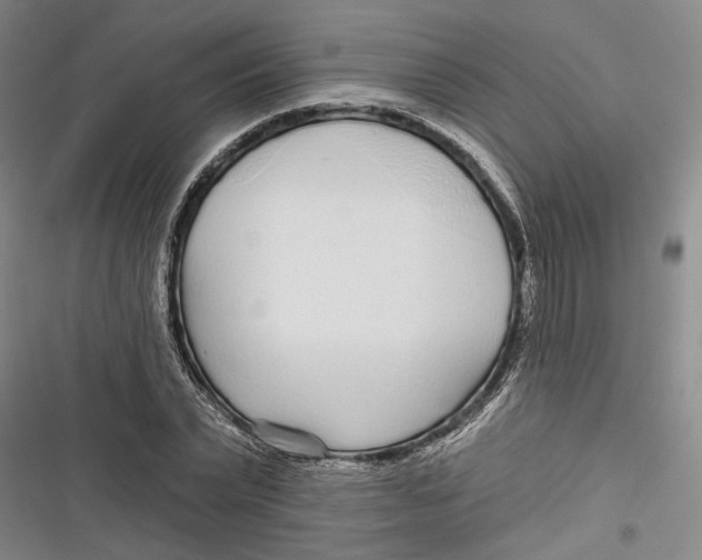 X0000116850783201001121219