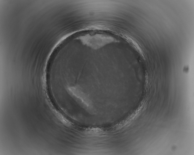 X0000116850784201001121219