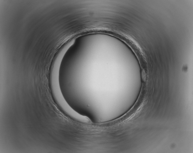 X0000116850785201001121219