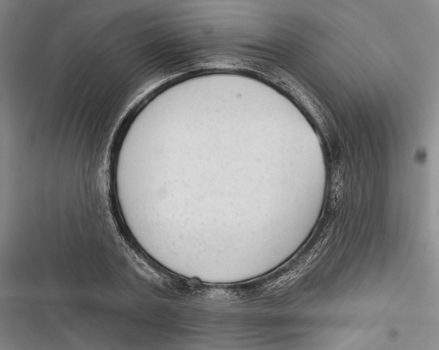 X0000116850787201001121219