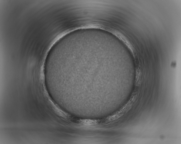 X0000116850789201001121219