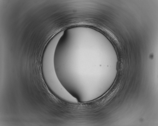 X0000116850793201001121219