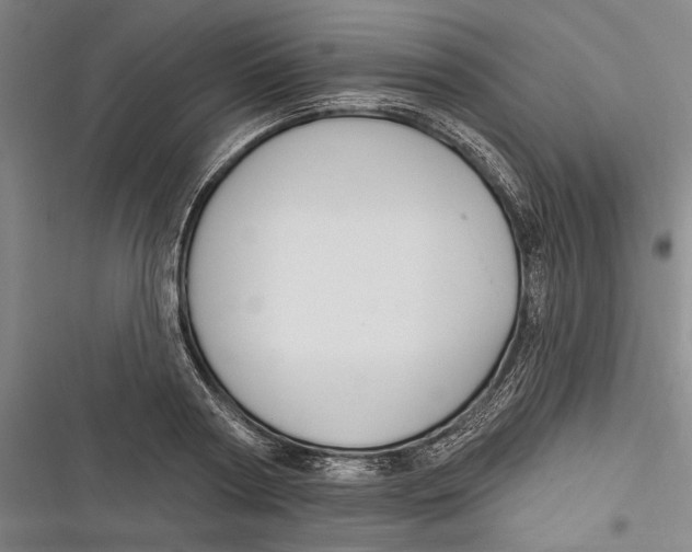X0000116850794201001121219