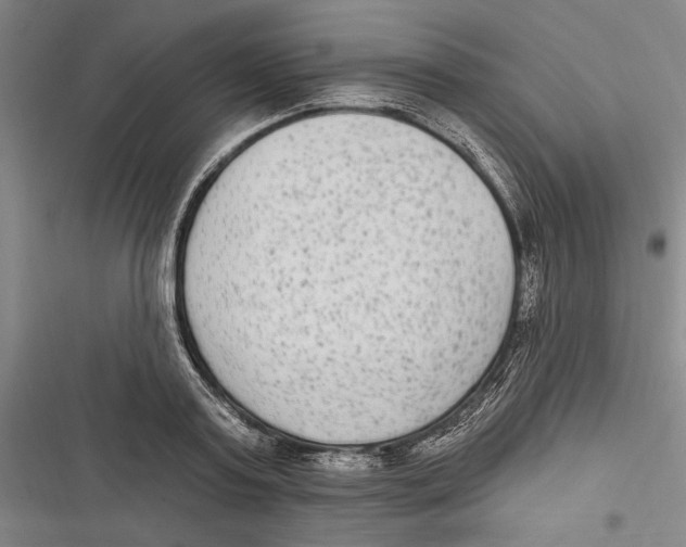 X0000116850795201001121219