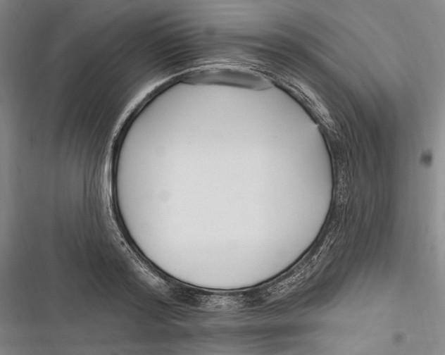 X0000116850796201001121219