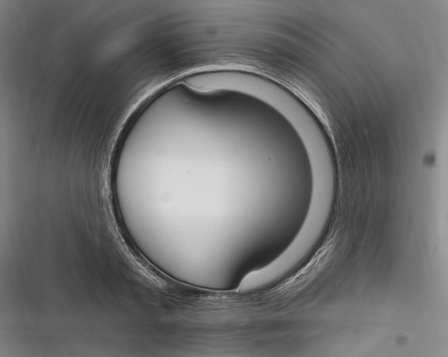 X0000116850797201001121219