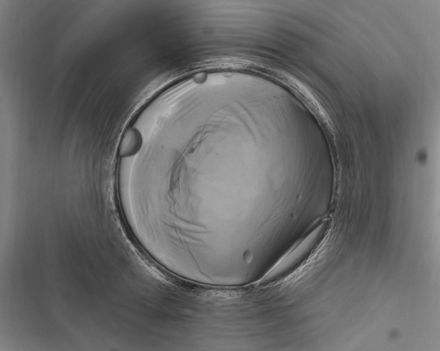 X0000116850802201001121219