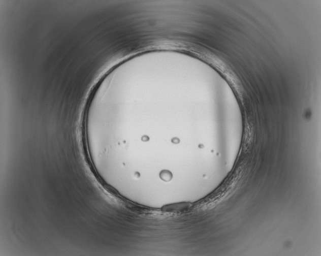 X0000116850803201001121219