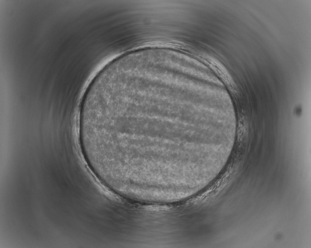 X0000116850804201001121219