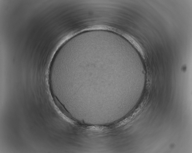 X0000116850805201001121218