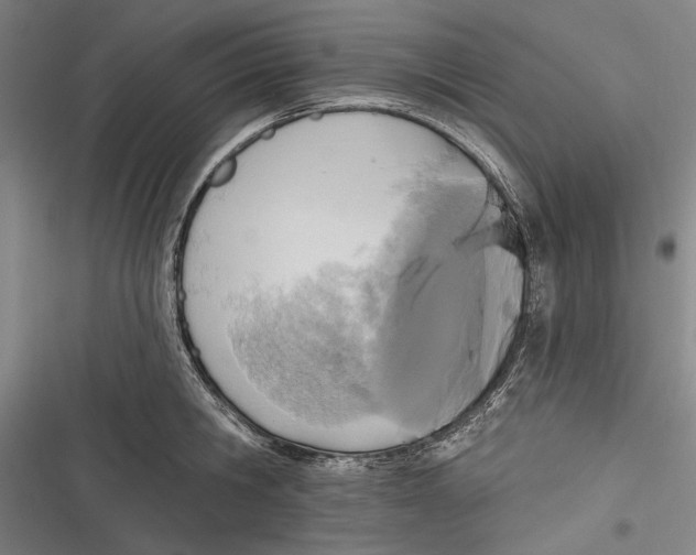 X0000116850806201001121218