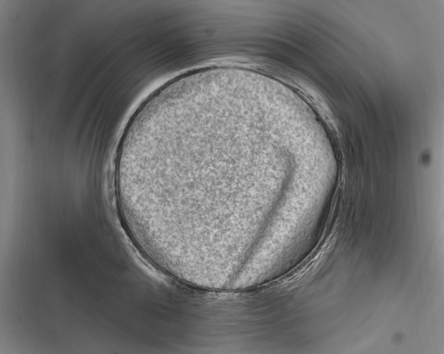 X0000116850808201001121218