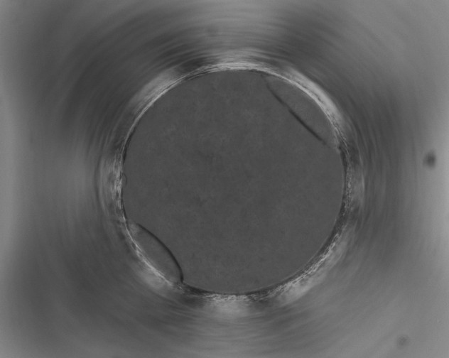 X0000116850809201001121218