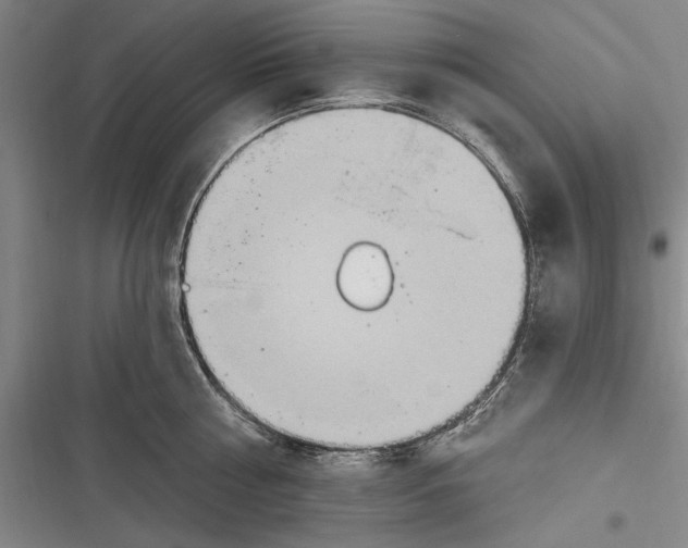 X0000116850810201001121218