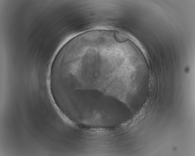 X0000116850811201001121218