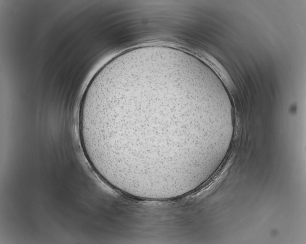 X0000116850812201001121218