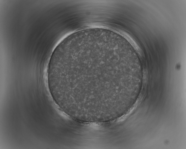 X0000116850814201001121218