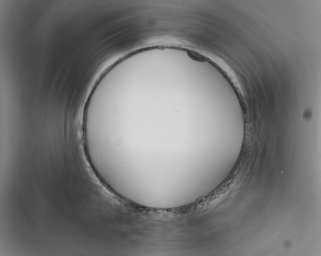 X0000116850815201001121218