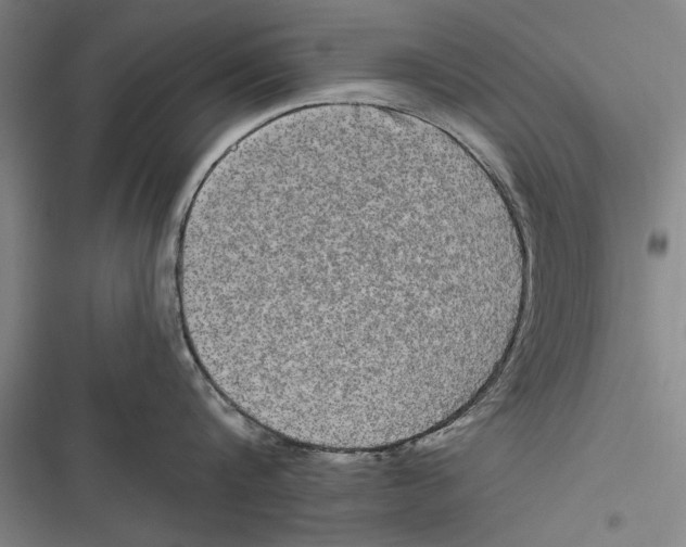 X0000116850816201001121218