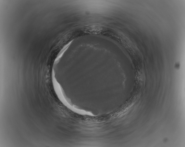 X0000116850818201001121218