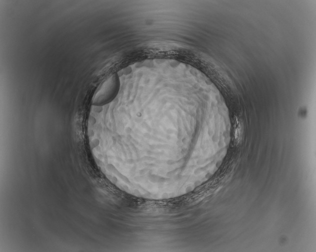 X0000116850819201001121218