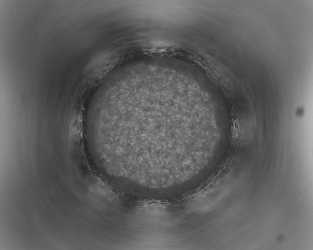 X0000116850820201001121218
