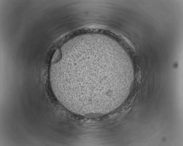 X0000116850821201001121218