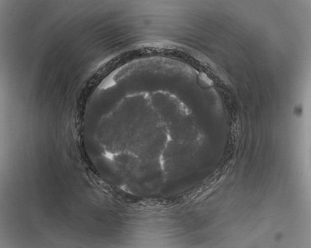 X0000116850822201001121218