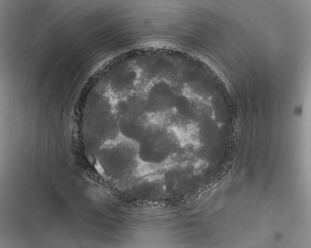 X0000116850823201001121218
