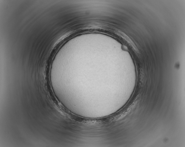 X0000116850826201001121218