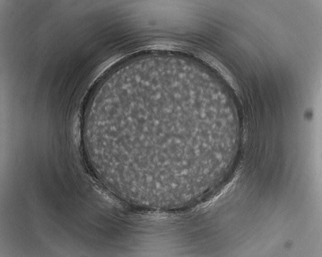 X0000116850829201001121218