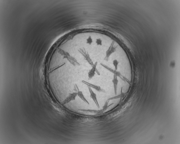 X0000116850830201001121218
