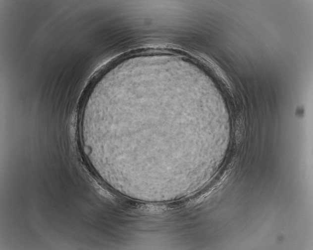 X0000116850831201001121218