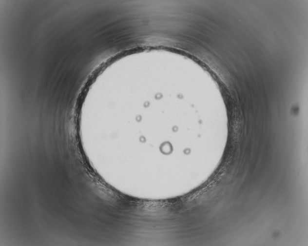 X0000116850832201001121218