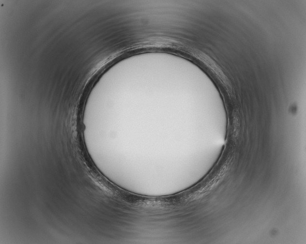 X0000116850834201001121218