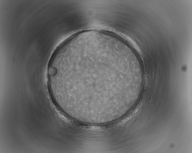 X0000116850839201001121218
