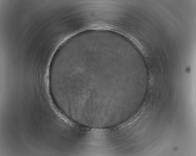 X0000116850840201001121218