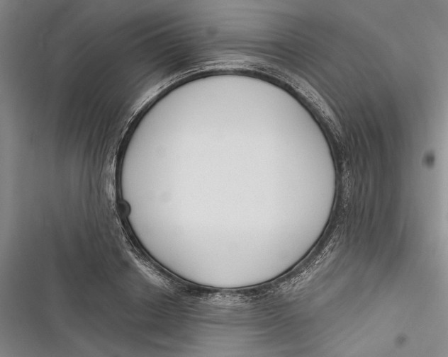X0000116850842201001121218
