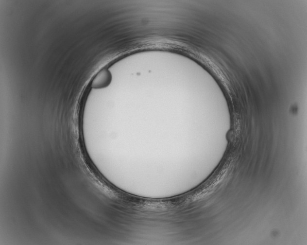 X0000116850843201001121218