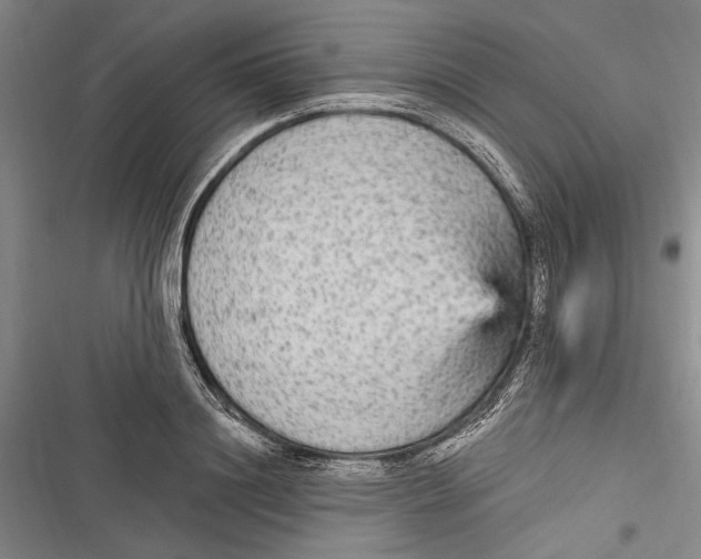 X0000116850844201001121218