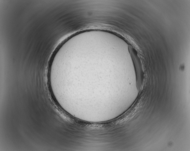 X0000116850846201001121218