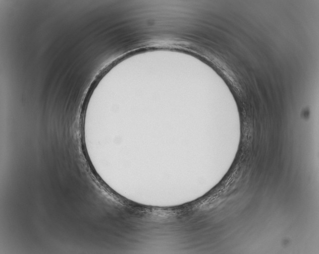 X0000116850848201001121218