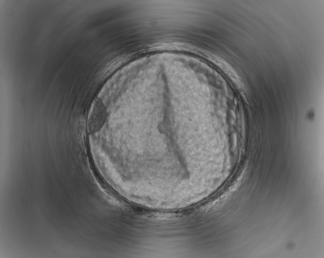 X0000116850849201001121218