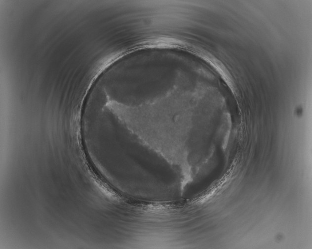 X0000116850850201001121218